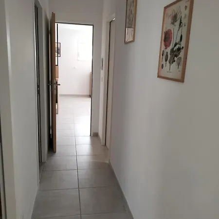 L'ombre Du Tilleul